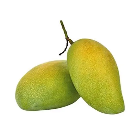 ফজলি
